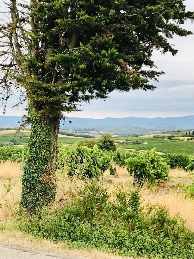 Coeur de Roses, gîte Gabriël Alaigne Extérieur photo