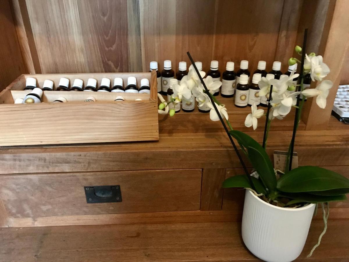 Coeur de Roses, gîte Gabriël Alaigne Extérieur photo